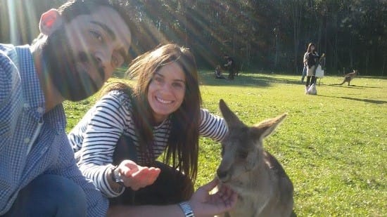 canguro australia sydney
